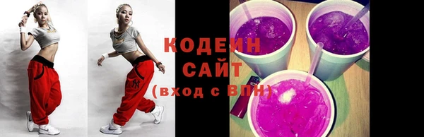 индика Балахна