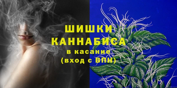 индика Балахна