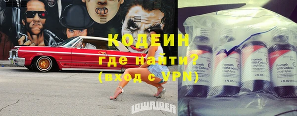 индика Балахна