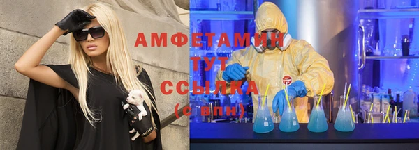 индика Балахна