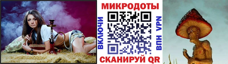 Галлюциногенные грибы Psilocybe  Купить  Гатчина 